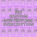 $20 Random Mystery Box